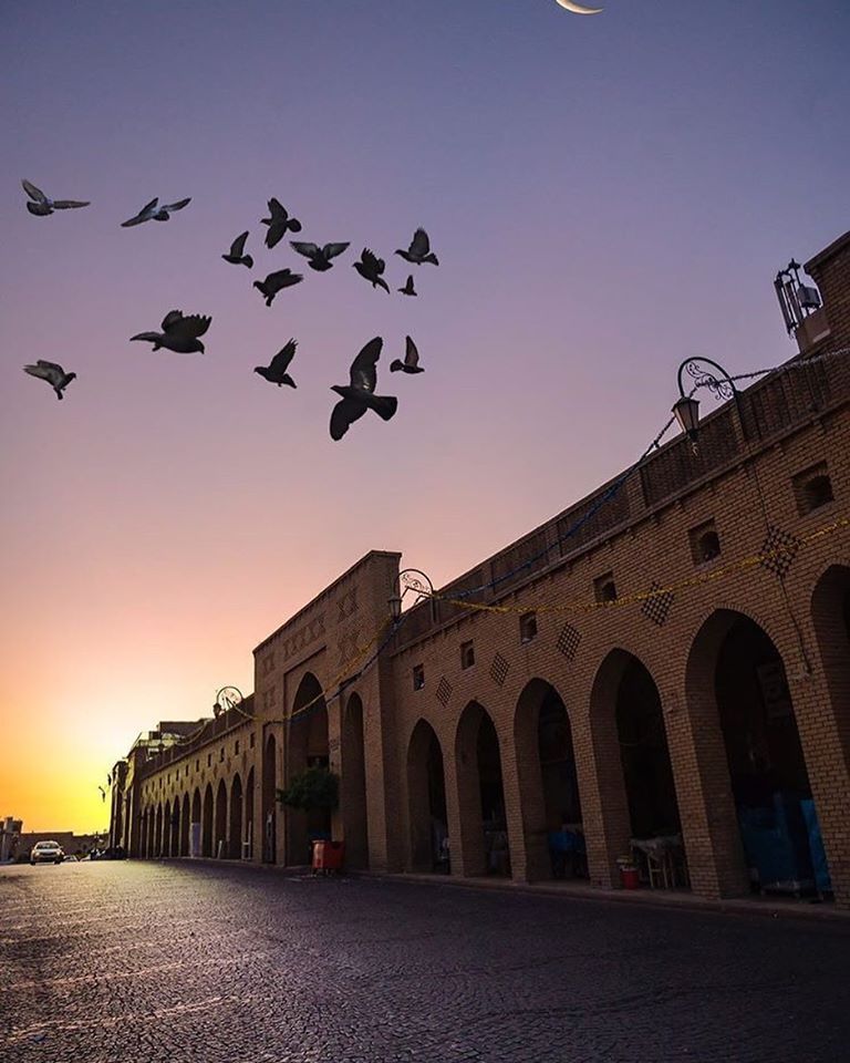 Tishk International University | International Conference on Accounting, Business, Economics and Politics